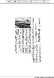 ファーマーズ・フォレストなど、地下冷熱で夏イチゴ栽培　宇都宮にハウス