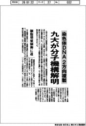 九大、染色体ＤＮＡの２方向複製の分子機構解明　細胞増殖制御に道
