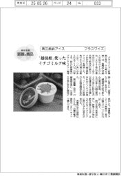 個性発信・話題の商品／燕三条鉄アイス　プラスワイズ