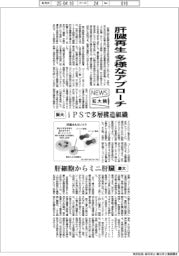 ニュース拡大鏡／肝臓再生、多様なアプローチ　阪大・慶大など