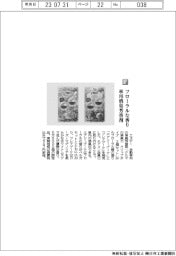 エステー／フローラルな香り車用消臭芳香剤