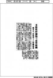 熊本大、多能性幹細胞で尿管組織　移植用ミニ腎臓前進