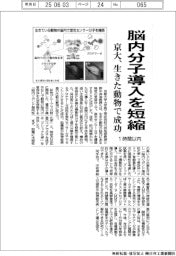 京大、脳内分子導入を１時間以内に短縮　生きた動物で成功