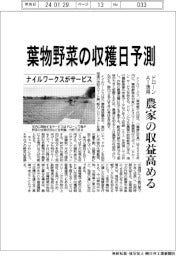 ナイルワークス、葉物野菜の収穫日予測　年内にサービス開始