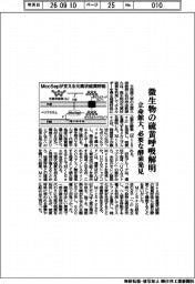 立命館大、微生物の硫黄呼吸解明　必要な酵素発見
