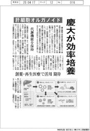 慶大が肝細胞オルガノイドを効率培養　代謝機能を保持　創薬・再生医療で活用期待