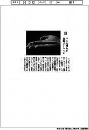 ネットワーク社／ペン先滑らか真鍮ボールペン