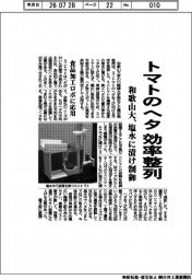 和歌山大、トマトのヘタを効率整列　塩水に漬け制御