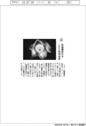 ニッカ／除菌機能付きＬＥＤ照明電球