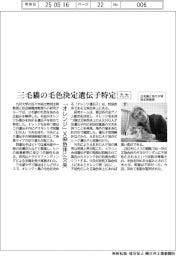 九大、三毛猫の毛色決定遺伝子特定　「オレンジ」、Ｘ染色体に欠失