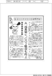 ものたんが聞くＱ＆Ａ／エリートツリーとは何かな？