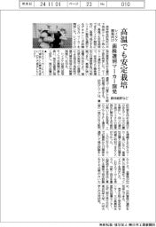 森林総研など、高温に強いシイタケ安定栽培　菌株選別マーカー開発