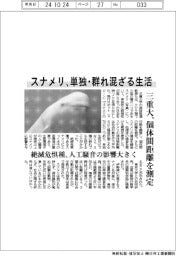 スナメリ、単独・群れ混ざる生活 三重大、個体間距離を測定