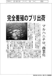 マルハニチロ、完全養殖のブリ商業出荷