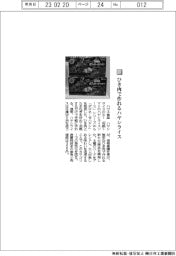 ハウス食品／ひき肉で作れるハヤシライス